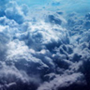 Meet your Posher, Avery